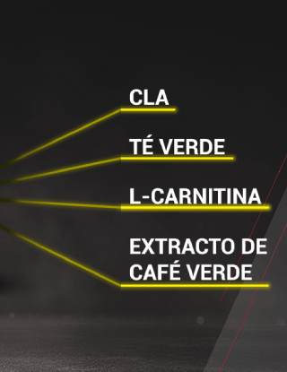 CLA, Té Verde, L-Carnitina, Extracto de Café Verde