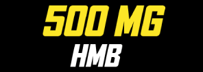 500mg HMB