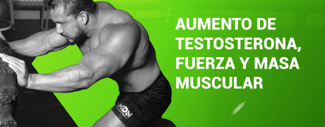 Aumento de testosterona, fuerza y masa muscular